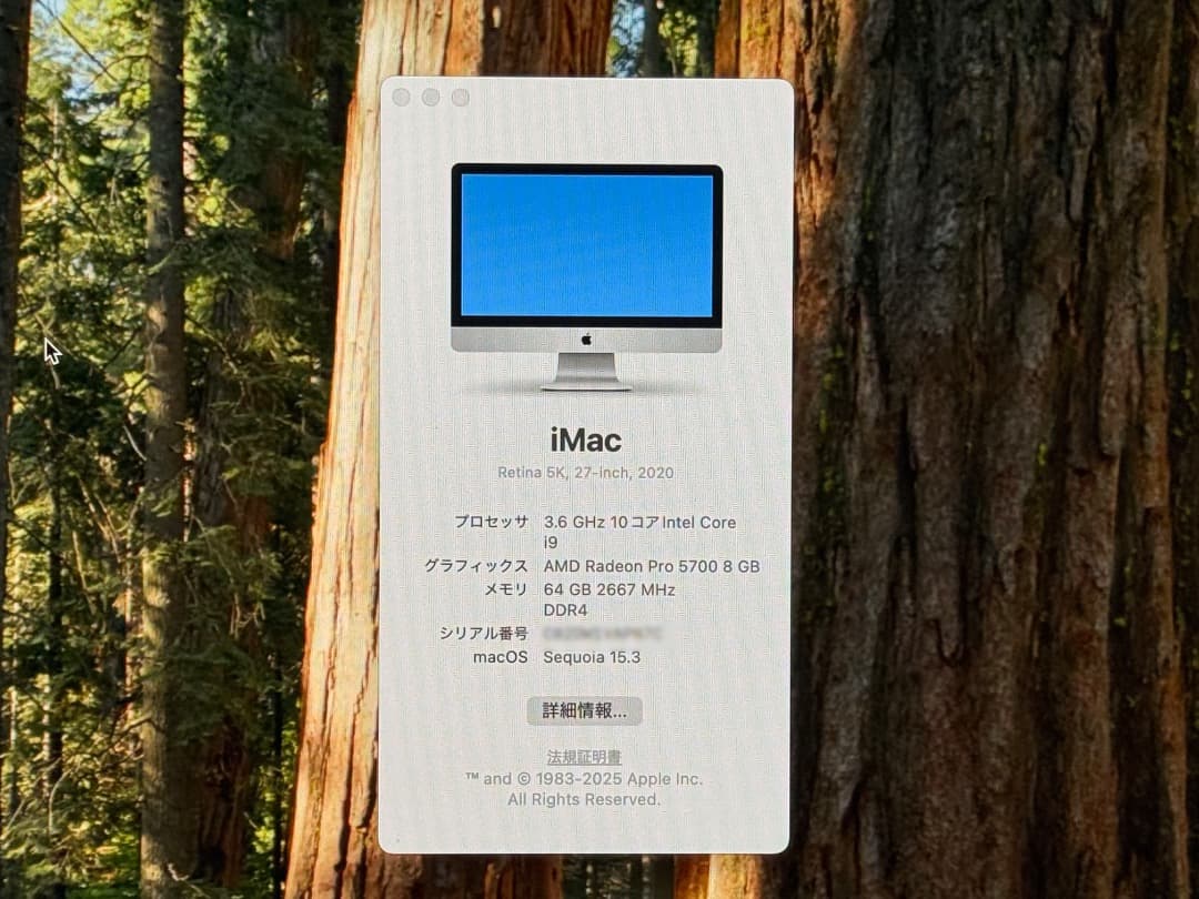 Macデスクトップ Apple iMac Retina 5K 27 2020 core i9