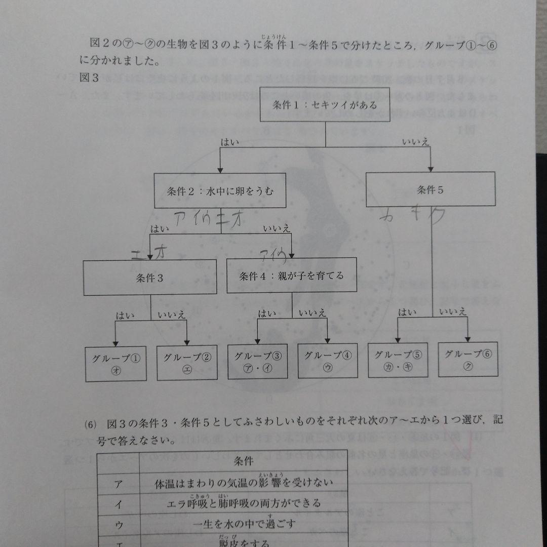 サピックス 2023年度4年生 テスト一式