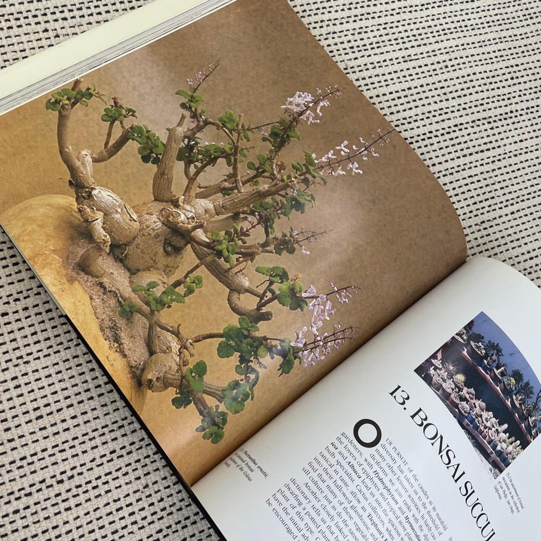 Caudiciform and Pachycaul Succulents 洋書