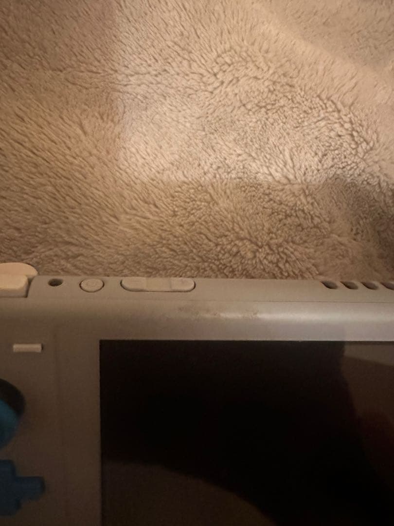 Nintendo Switch Lite 本体のみ