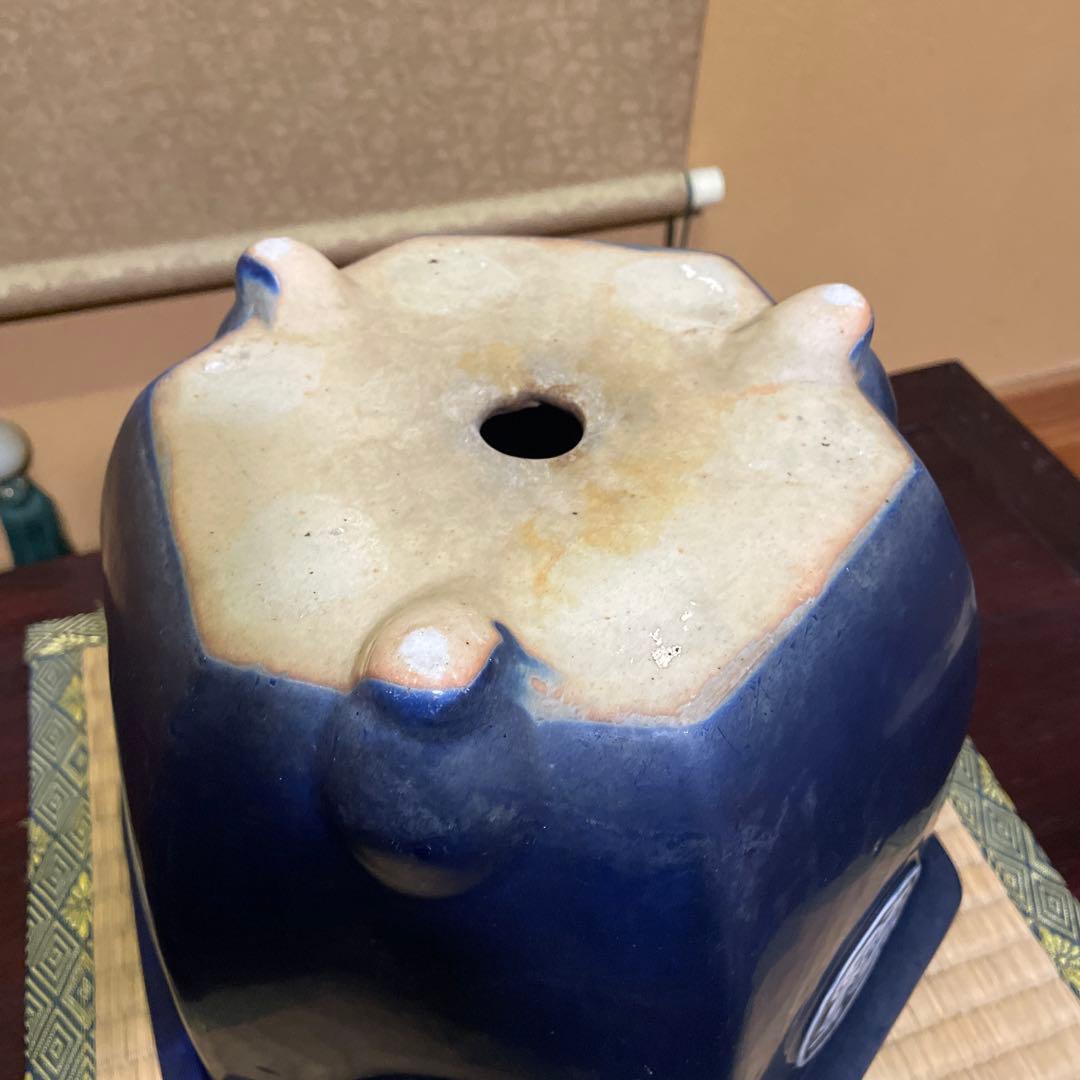 瀬戸焼 瑠璃釉 六角植木鉢 天山鉢 富貴蘭 山野草 盆栽 園芸 陶器製