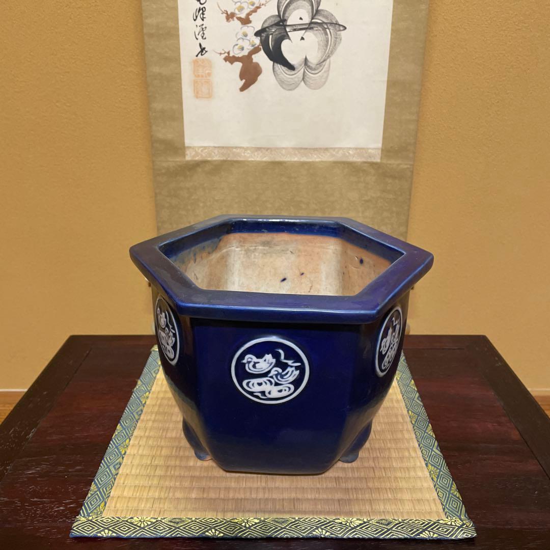 瀬戸焼 瑠璃釉 六角植木鉢 天山鉢 富貴蘭 山野草 盆栽 園芸 陶器製