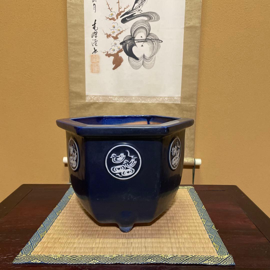 瀬戸焼 瑠璃釉 六角植木鉢 天山鉢 富貴蘭 山野草 盆栽 園芸 陶器製