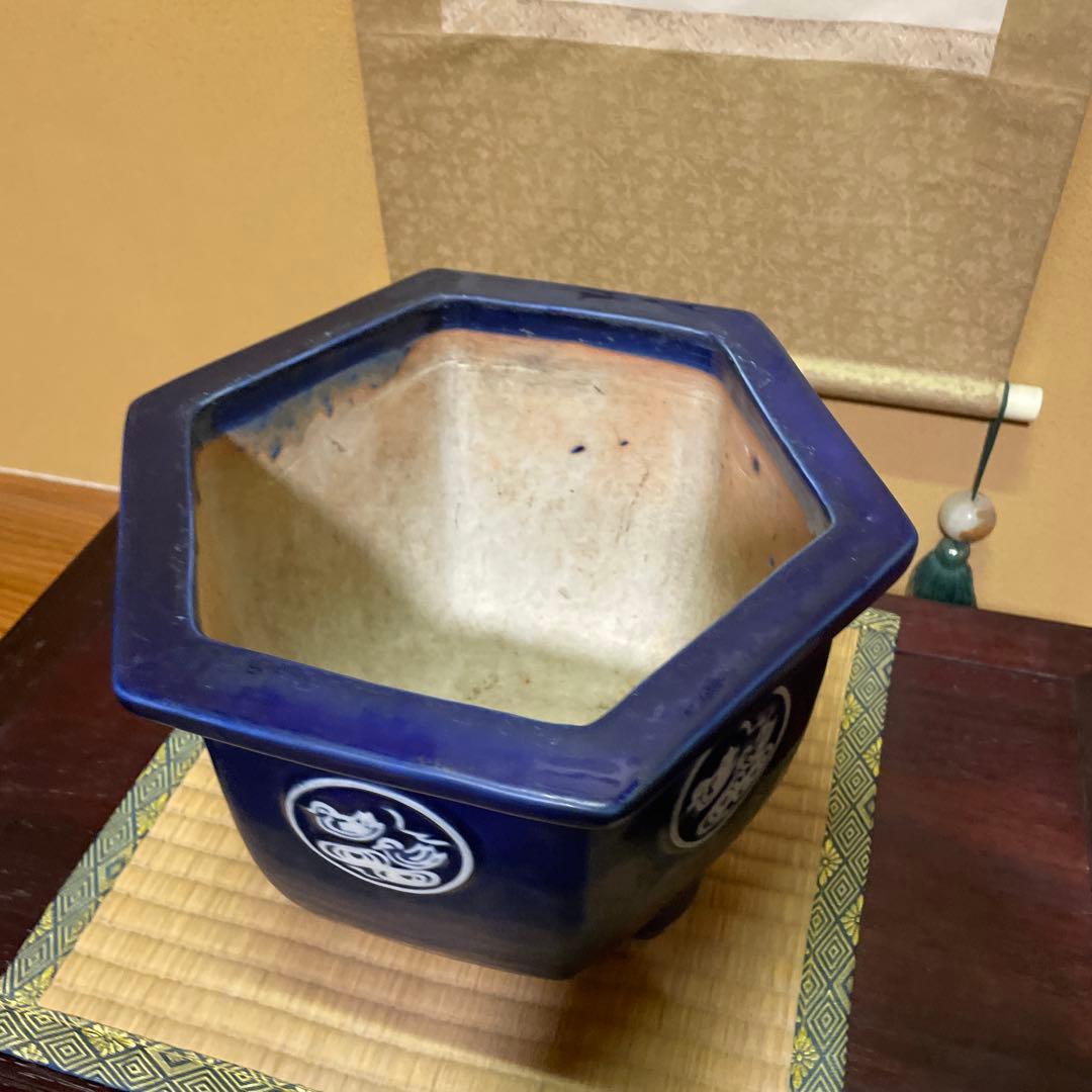 瀬戸焼 瑠璃釉 六角植木鉢 天山鉢 富貴蘭 山野草 盆栽 園芸 陶器製