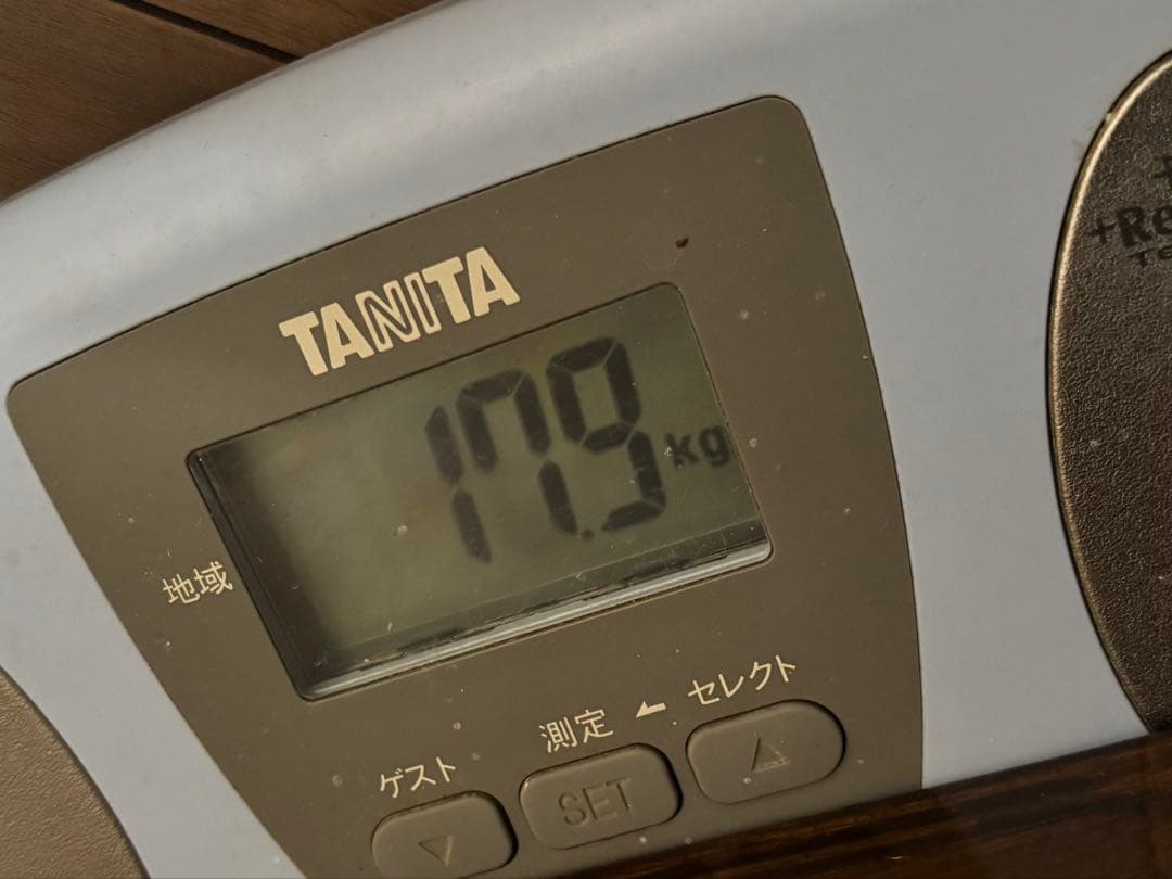 自作バックロードホーン FOSTEX FF 125k 2台セット　引き取り希望