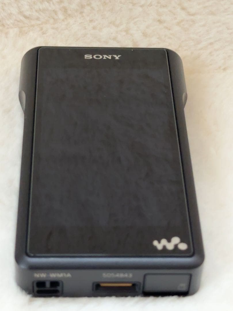 SONY NW-WM1A & XBA-N3BP セット