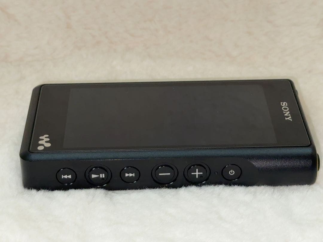 SONY NW-WM1A & XBA-N3BP セット
