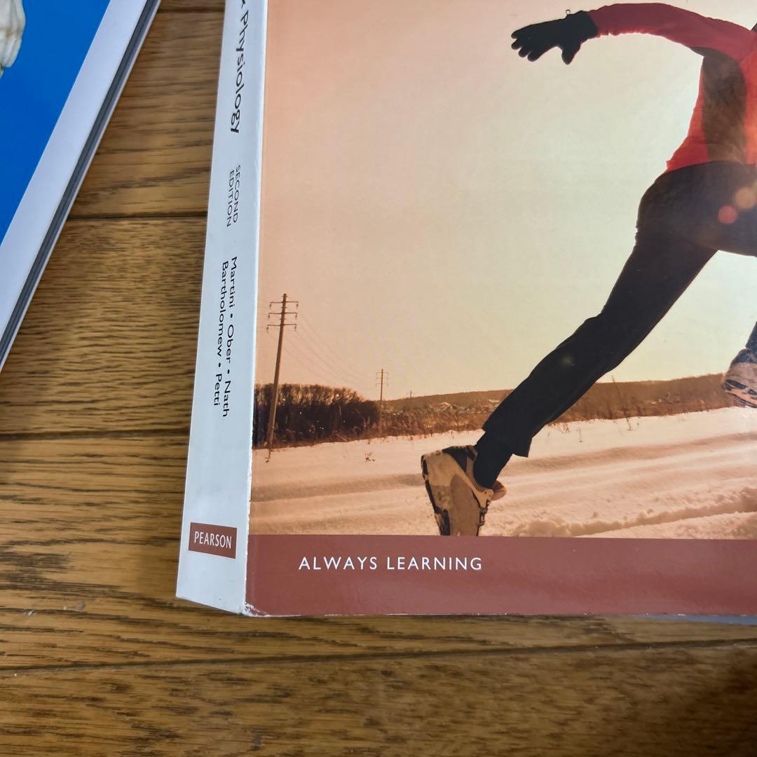 視覚解剖学と生理学、グローバルエディション+マルティーニの人体地図