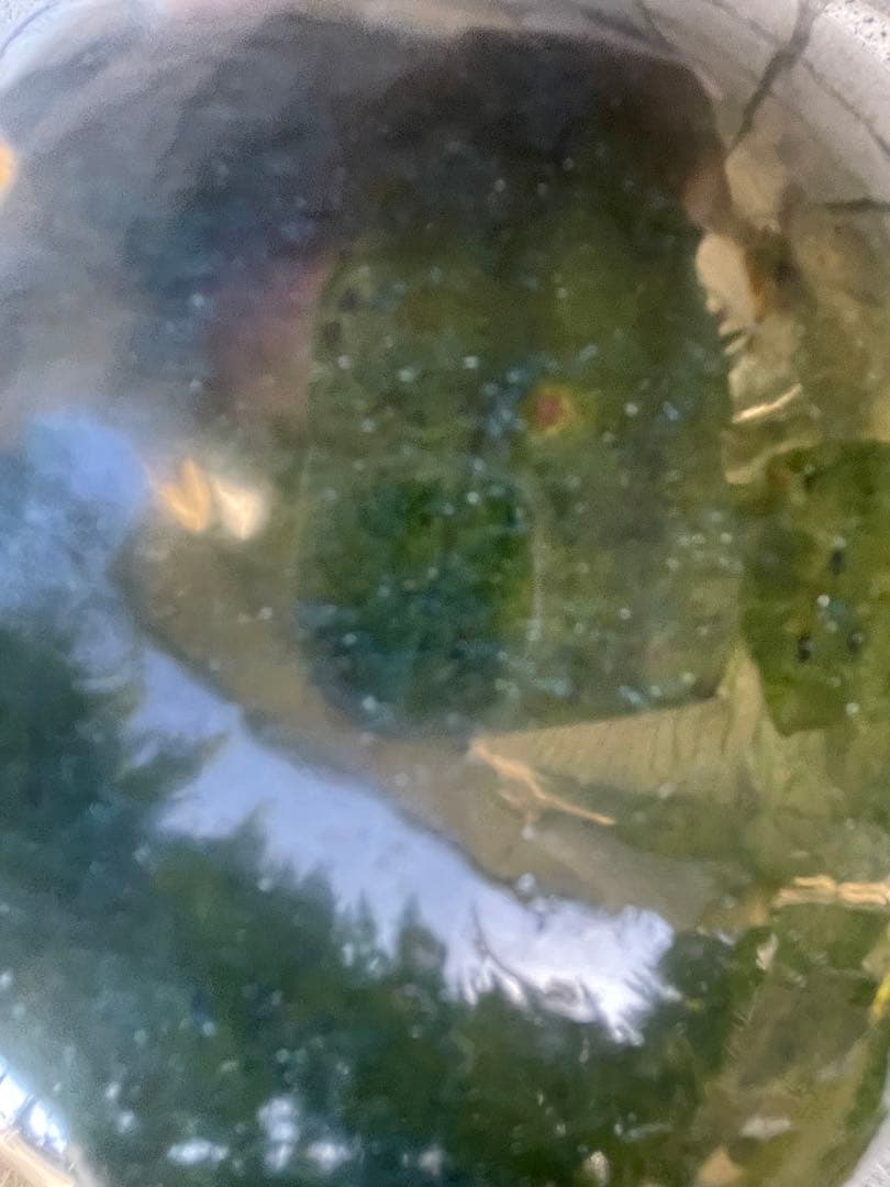 新品　未使用　上野焼　岩男元彦窯作　青緑色 陶器 花瓶 中型 木箱付き