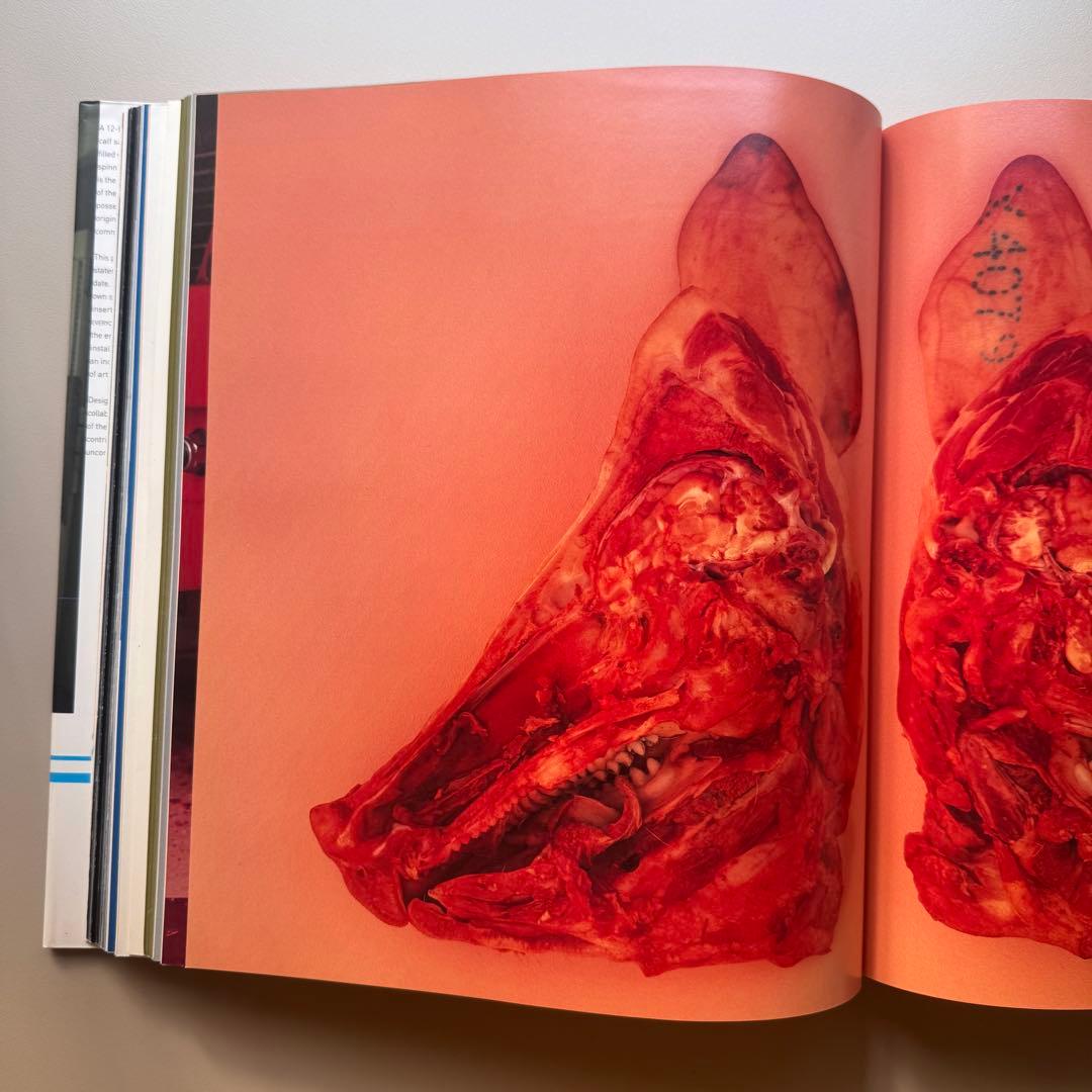 (大判ver)Damien Hirst