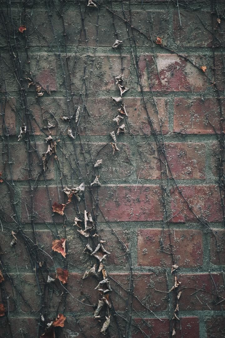 極美品！貴重な黒モデル！Leica Elmar 90mm F4 Black