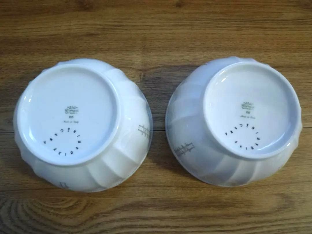 リチャードジノリ ミナペルホネン ジェルモリオ カフェオレボウル2個