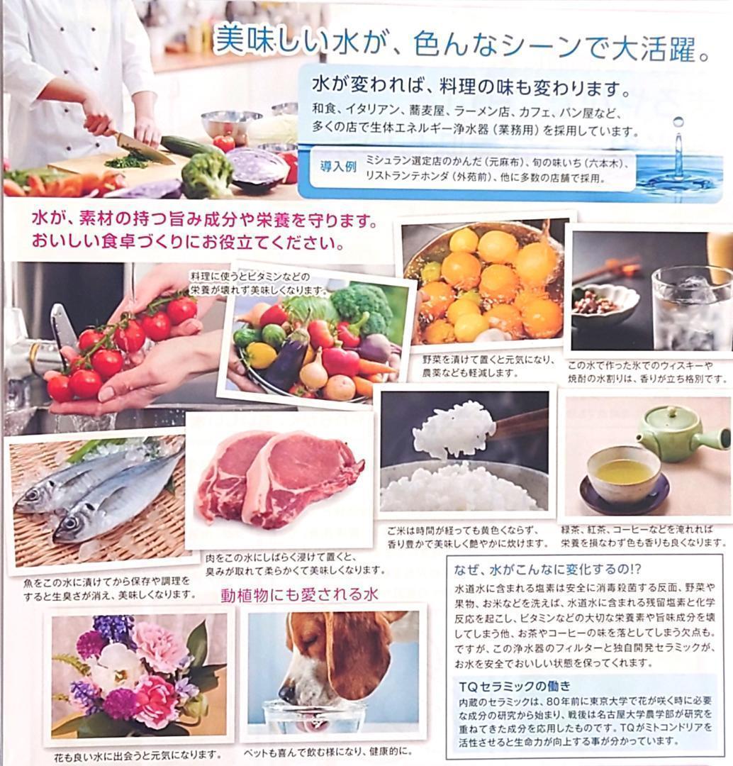 TQ・生体エネルギー 浄水器 蛇口直結型（ノンレバー式）水質改善 健康水