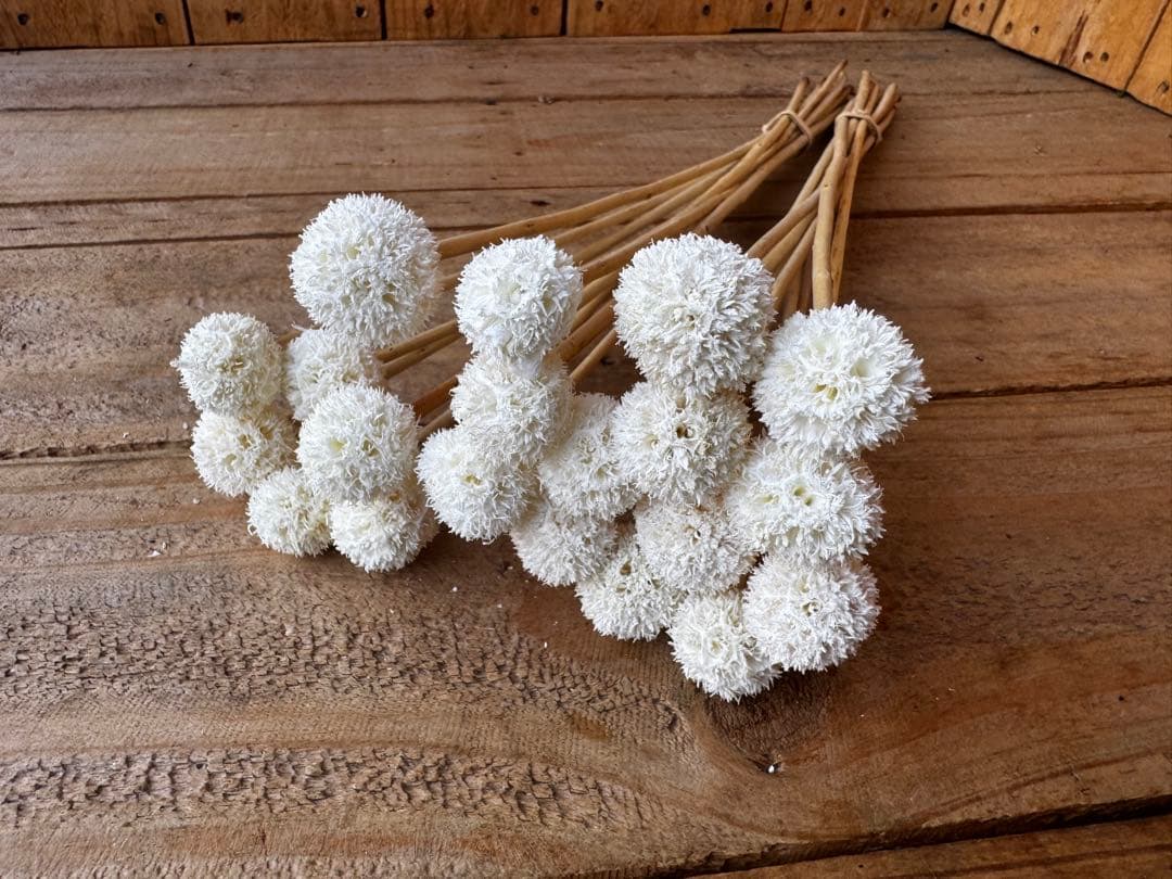 みう様 リクエスト 3点 まとめ商品