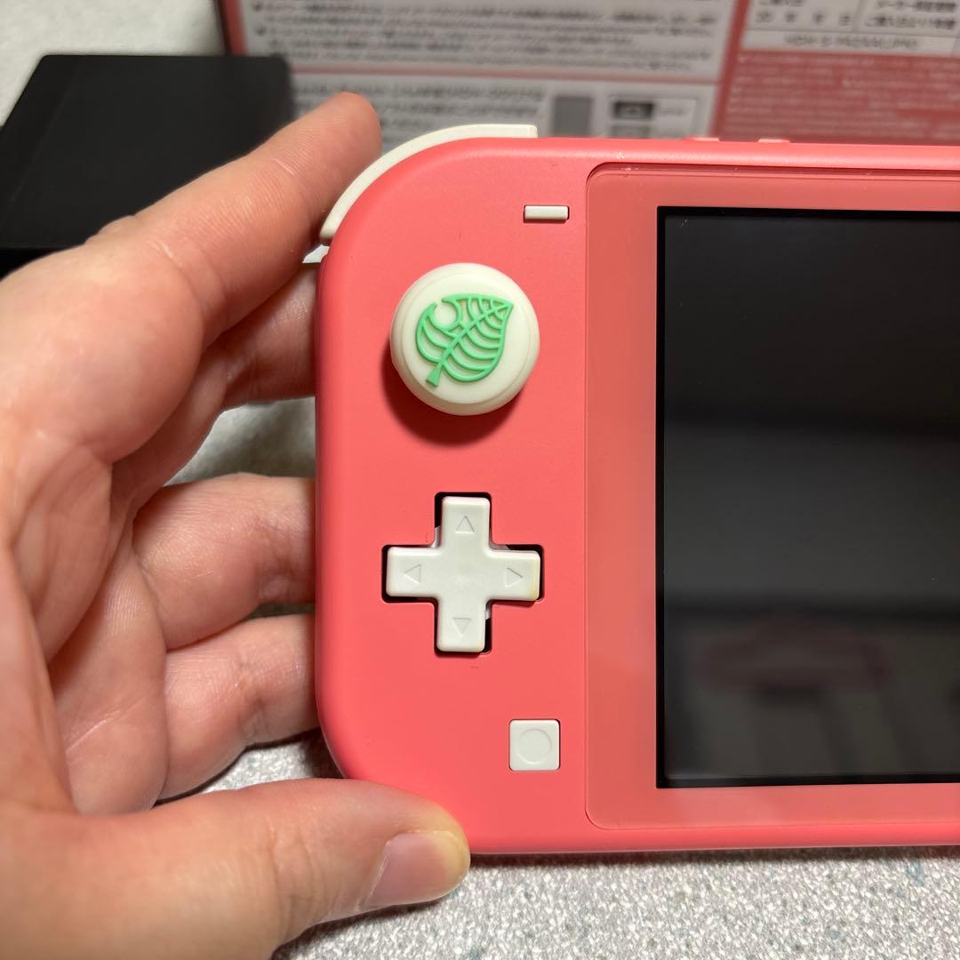 Nintendo Switch Lite本体