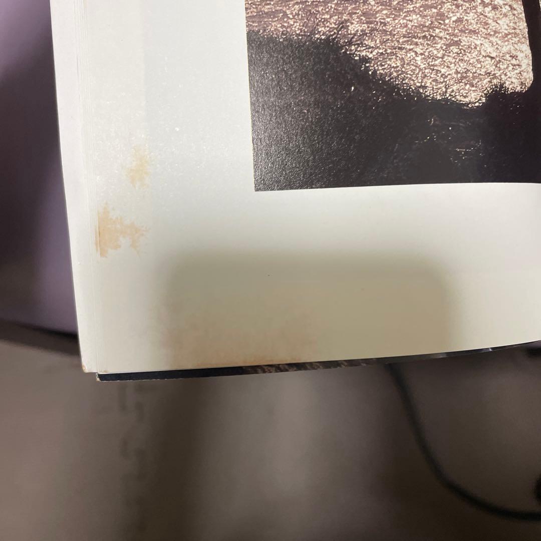 浜田省吾　渚園1988 A PLACE IN THE SUN パンフレットとLD