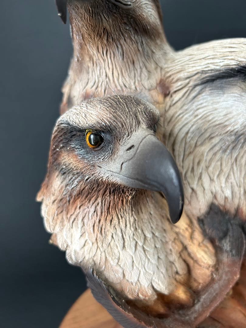 置物 Neil Rose BIRDS OF PREY Resin Sculpture