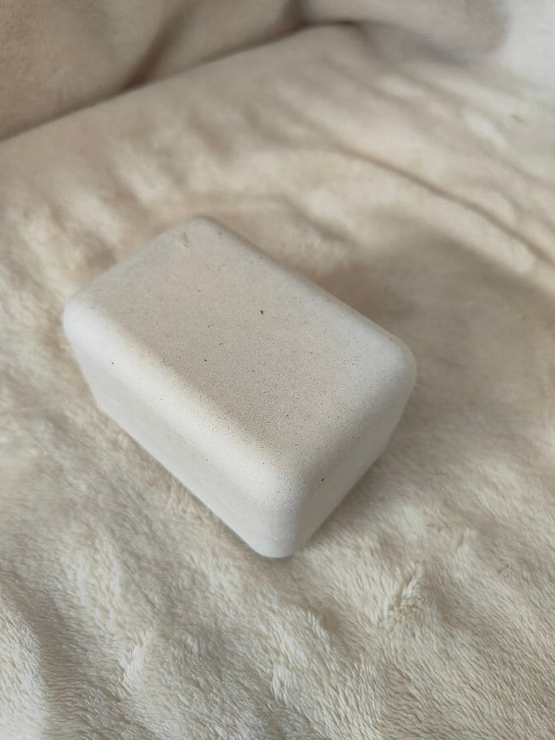 5*0様 未使用SONY WF-1000XM4 ワイヤレスイヤホン