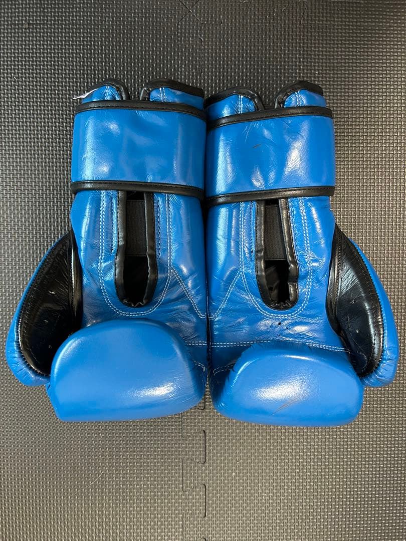 REYES レイジェス グローブ 【 ブルー 12オンス 】