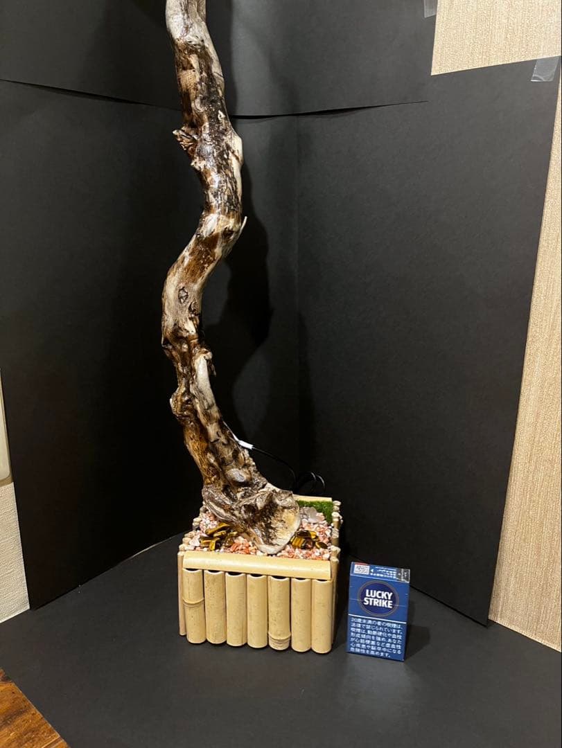 【一点物】流木LEDスタンドライト｜高さ90cm｜天然流木×レジン土台｜間接照明