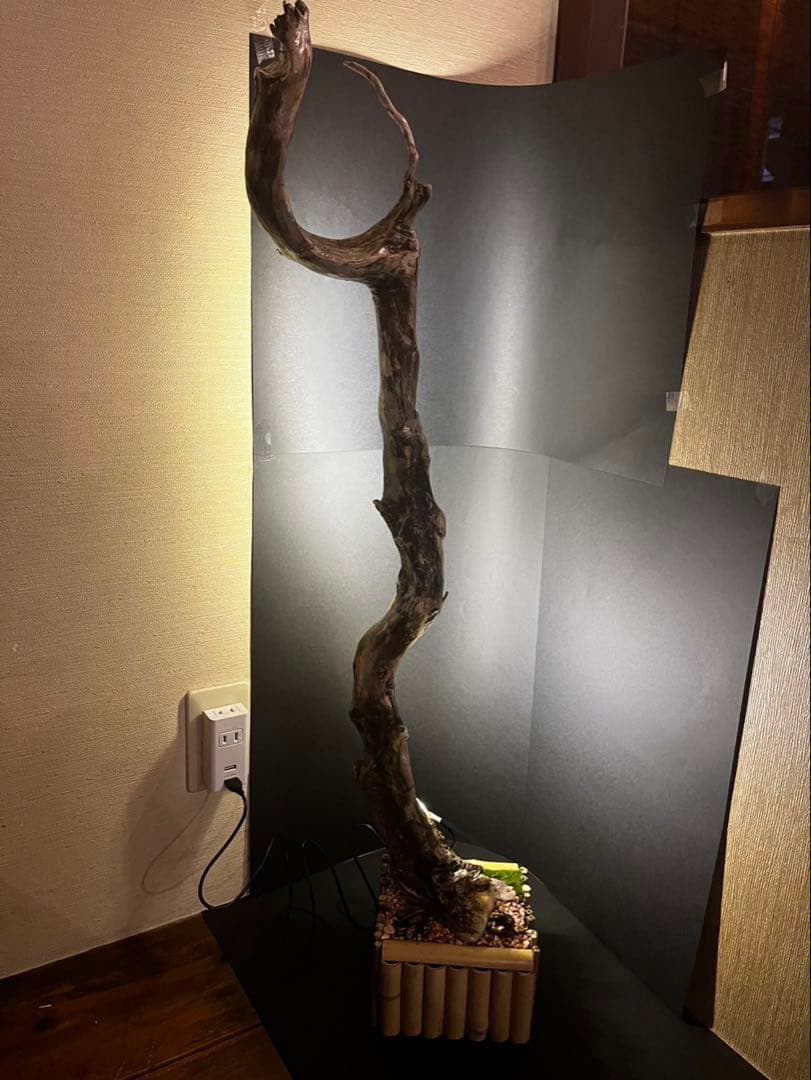 【一点物】流木LEDスタンドライト｜高さ90cm｜天然流木×レジン土台｜間接照明