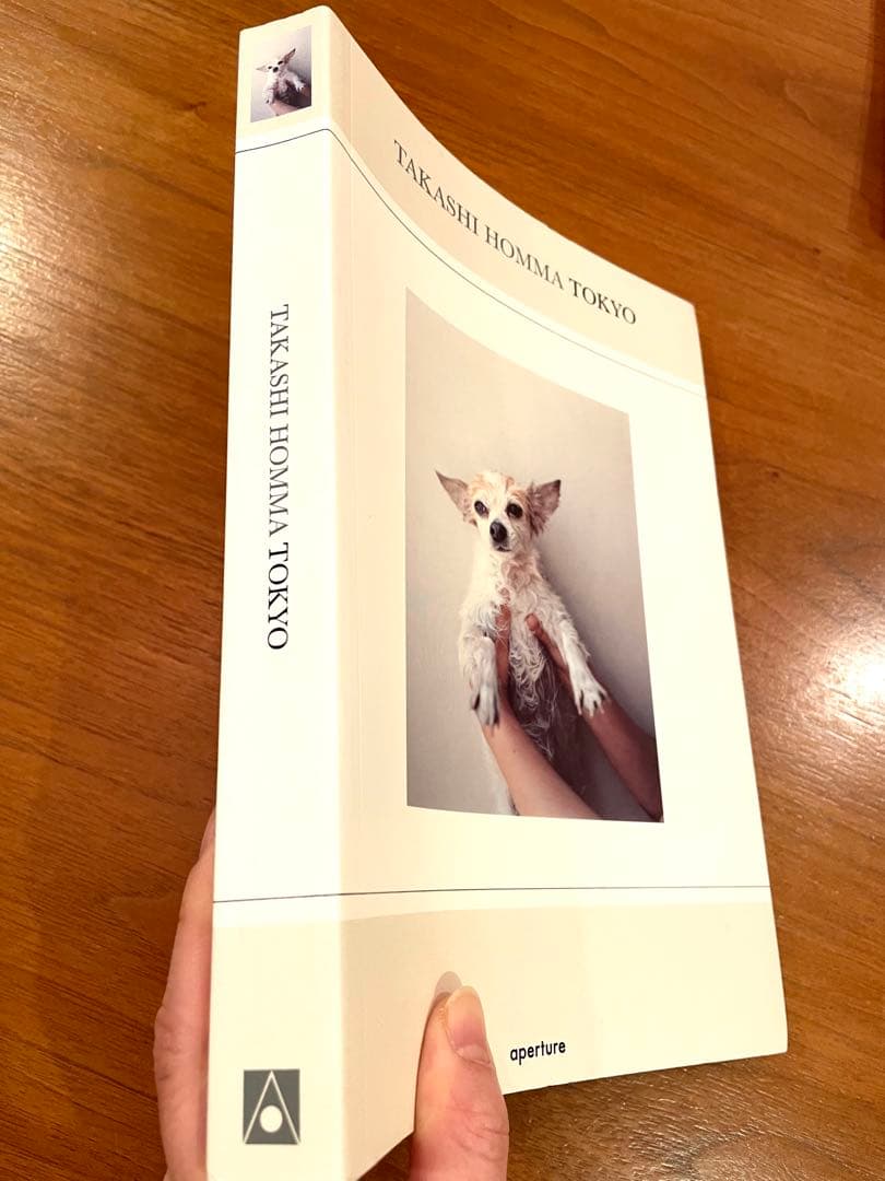 TAKASHI HOMMA TOKYO ホンマタカシ