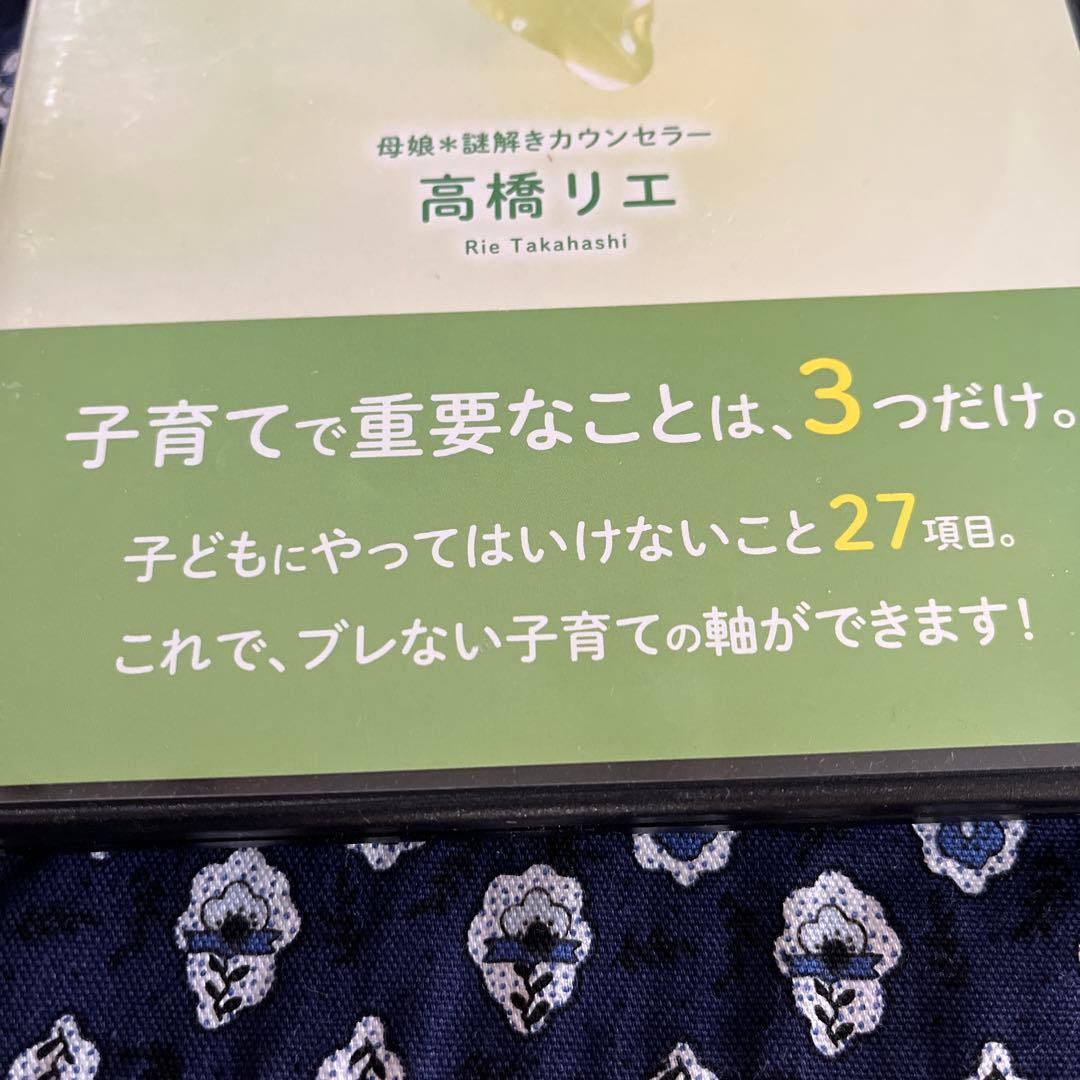 高橋リエ　　子どもが幸せな大人に育つ絶対法則 DVD 2枚組　 子育て講座