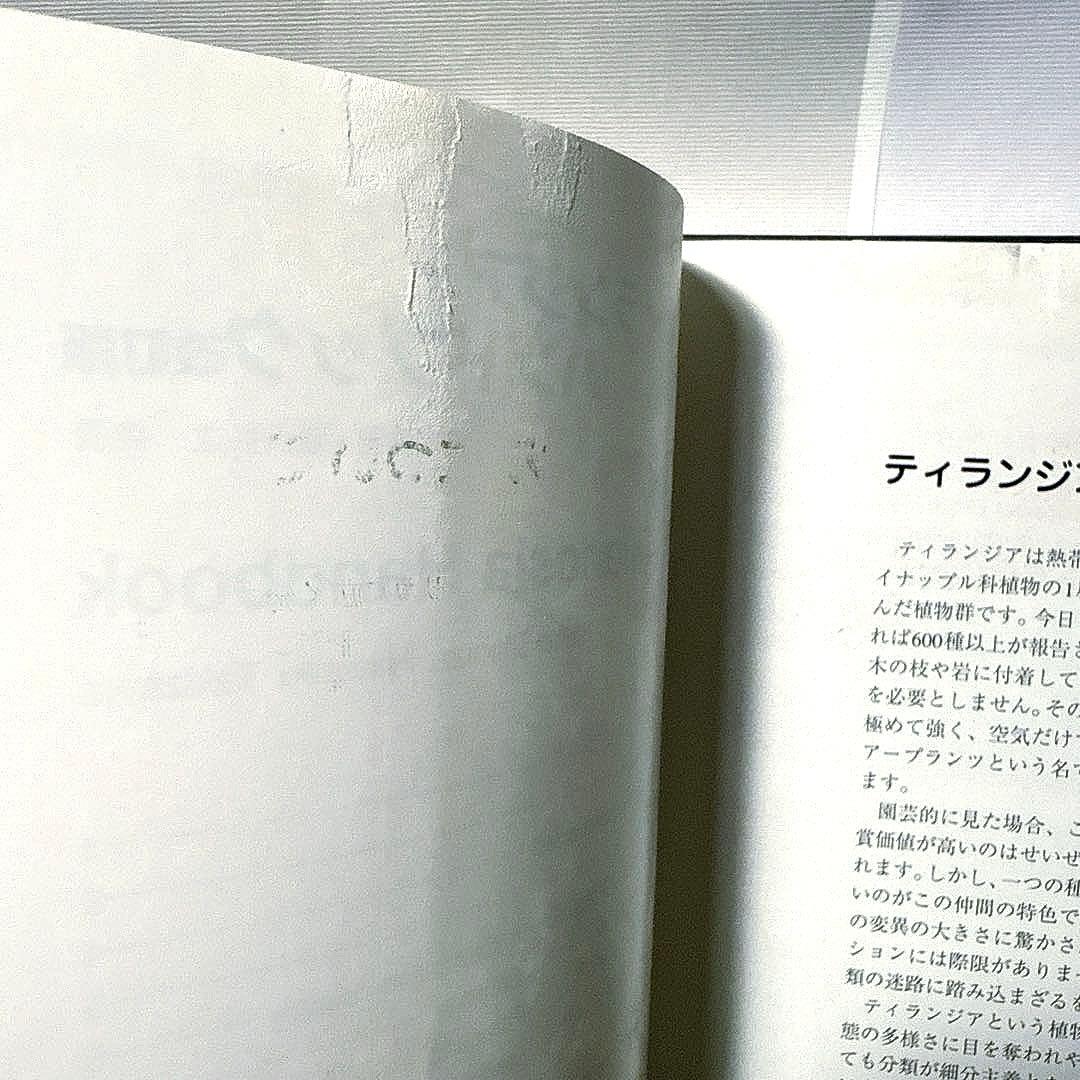 ティランジアハンドブック 改訂版 清水秀男 滝沢弘之 カバー付 【美品】