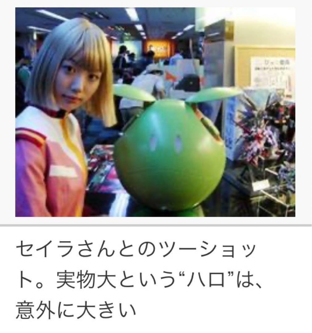 限定1000台❗️ 新品未使用 1/1原寸 『リアルサイズ ハロ PCケース』