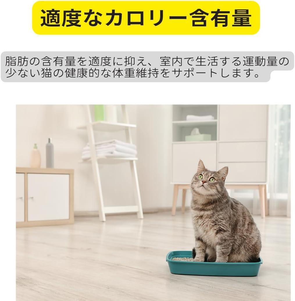 ロイヤルカナンインドア猫2kg×4袋