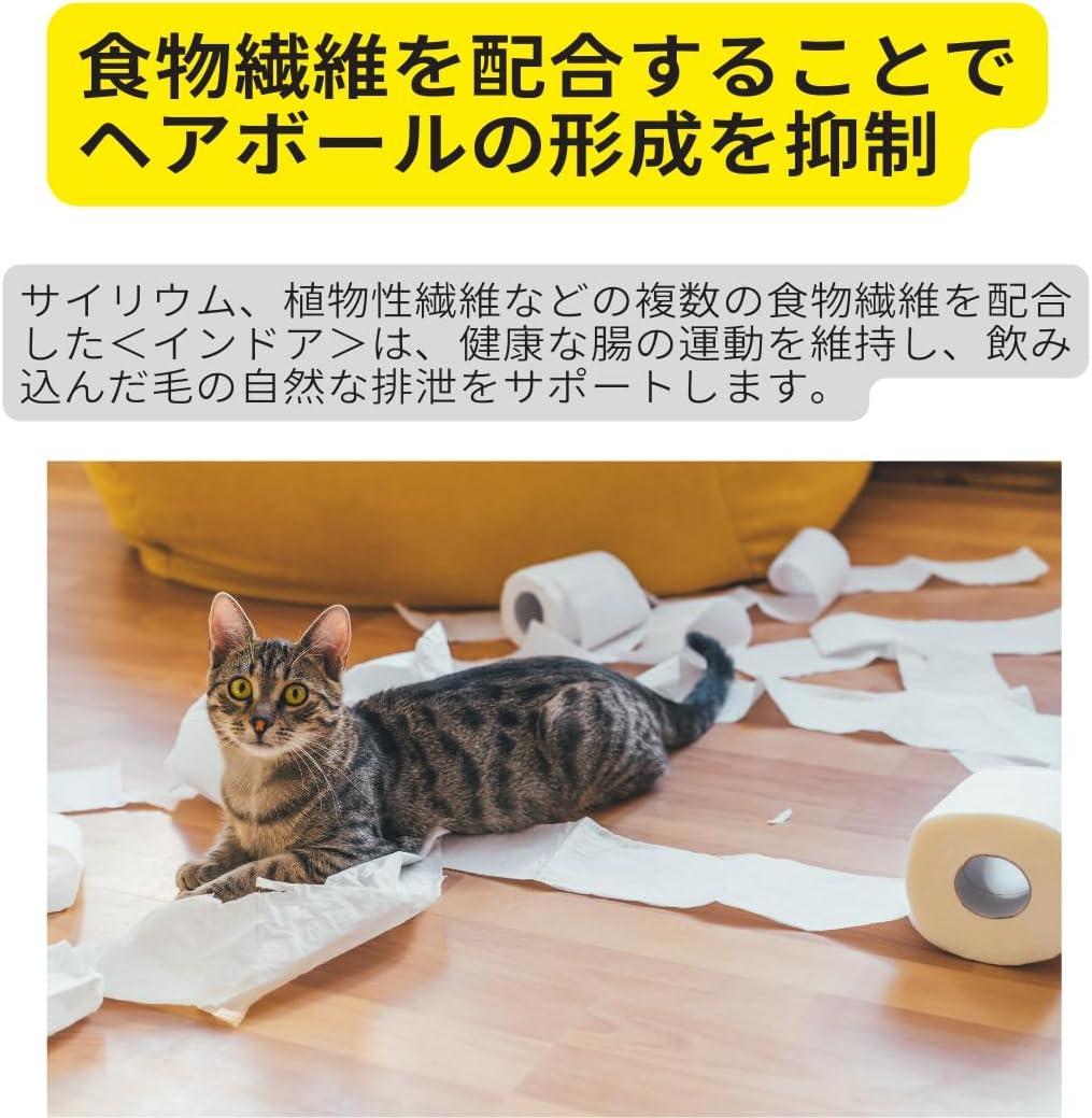 ロイヤルカナンインドア猫2kg×4袋