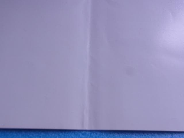 非売品　遊戯王デュエルモンスターズⅡ 継承されし記憶　プレステ2　PS2　販促品