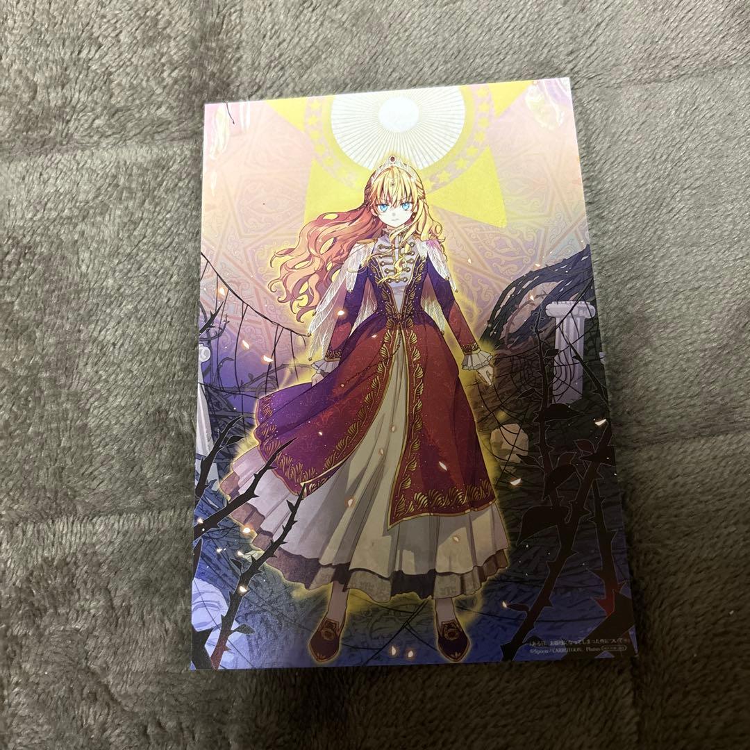 ある日お姫様になってしまった件について 全巻 1-12巻 アニメ化 全初版 希少