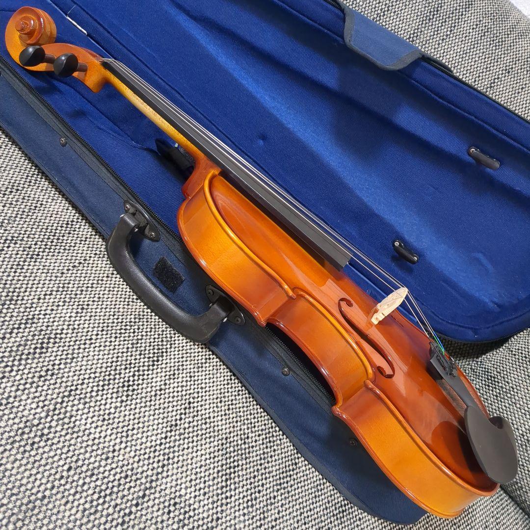 Carlo giordano VS-1 4/4 カルロジョルダーノ 2015年