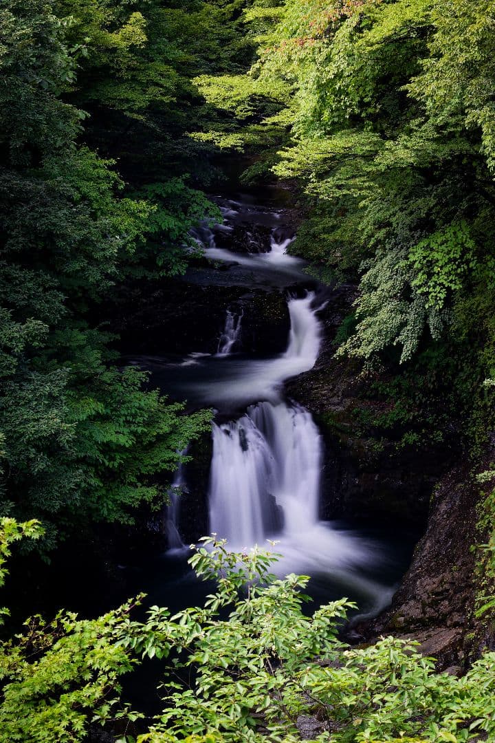SIGMA 50-150mm F2.8 II EX DC HSM ニコン用