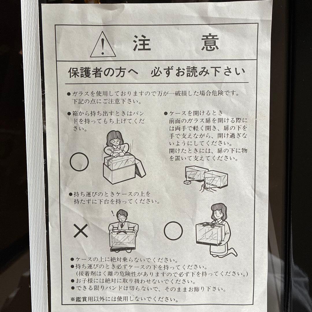 五月人形　兜差