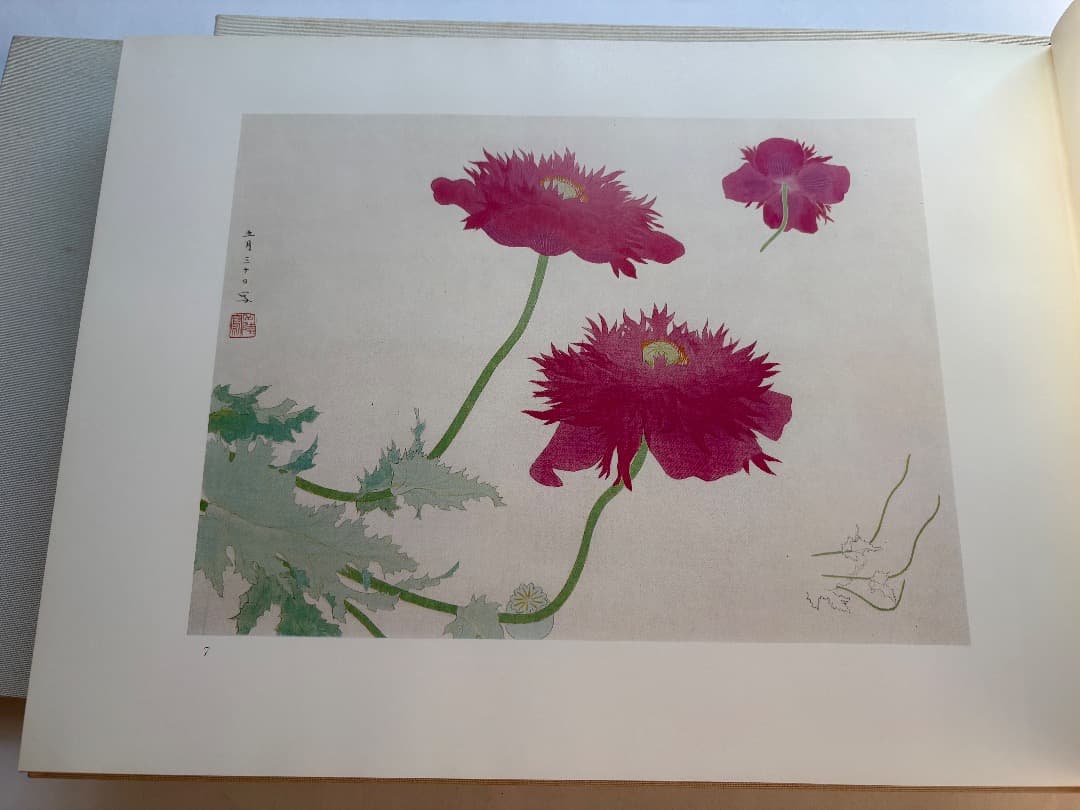 傳神譜　中村岳陵　4冊　写生画集　10.2kg 大型本画集　日本画　絵画