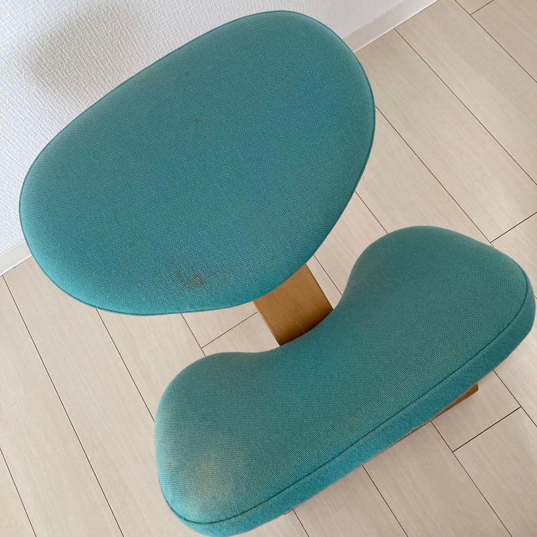 【通販生活】週末限定価格 Rybo社 バランスチェア　ライトグリーン