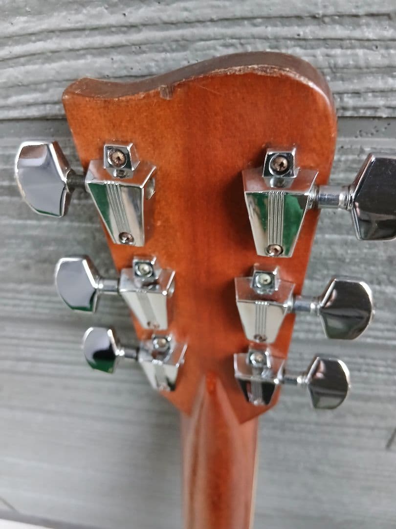 GRAND CANYON No.350( HC付き)