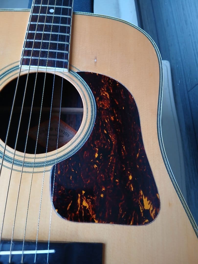 GRAND CANYON No.350( HC付き)