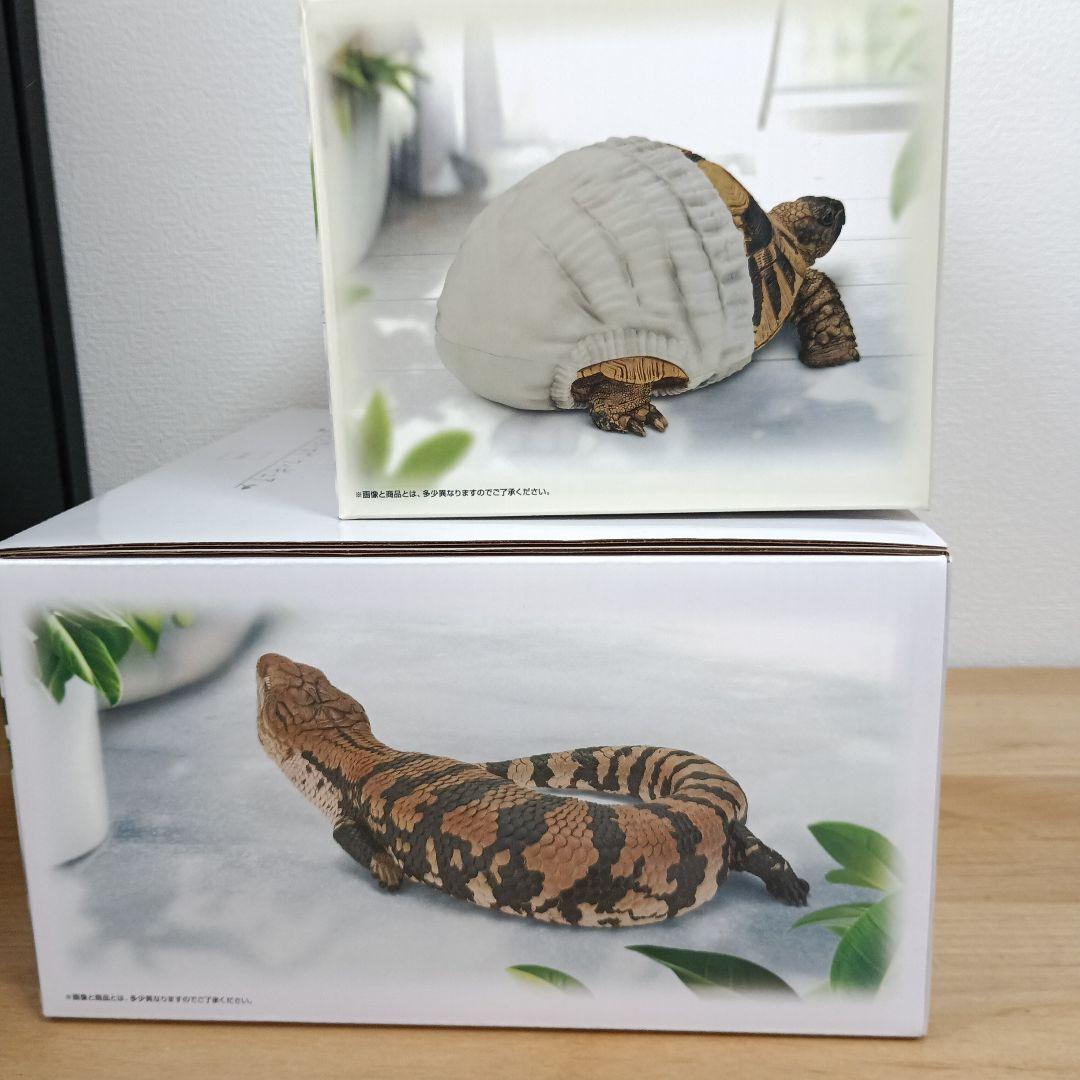 【一番くじ】爬虫類＆両生類 A賞 アオジタトカゲフィギュア　C賞ヘルマンリクガメ