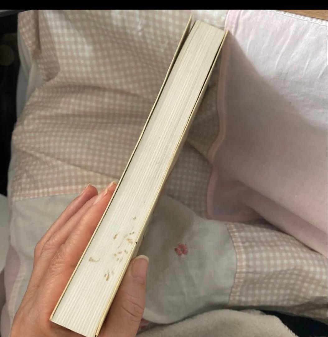 谷口ジロー　関川夏央　坊っちゃんの時代　漫画