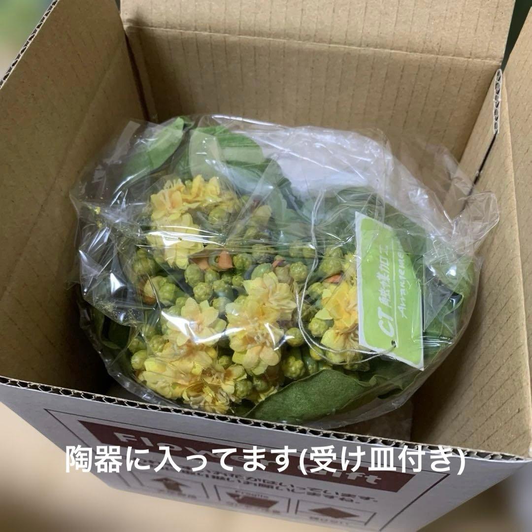 CT触媒加工 フェイクグリーン　17個　まとめ売り　空気清浄