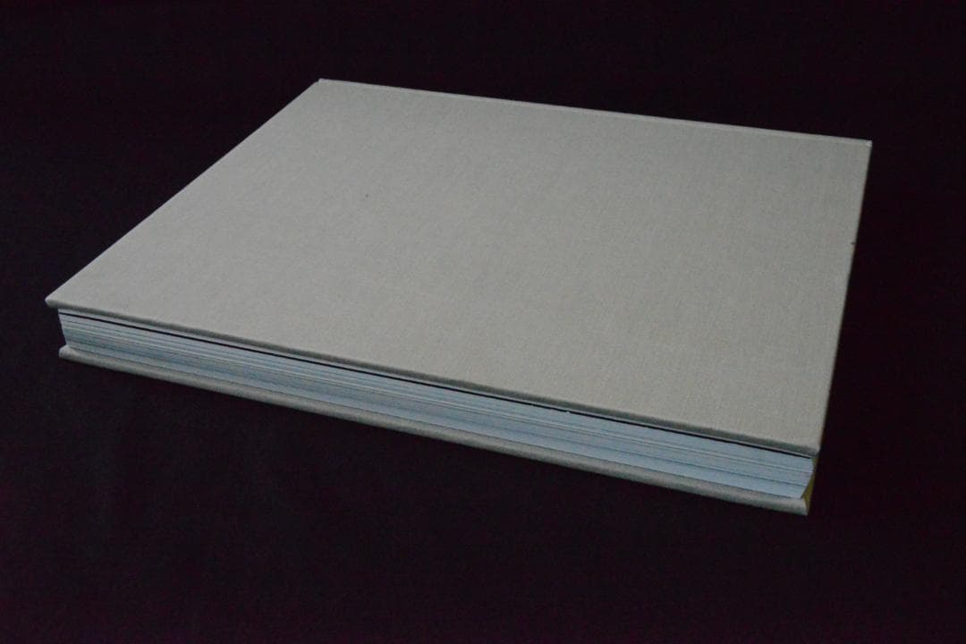 【Nick Knight：photographien 1994-2009】新品