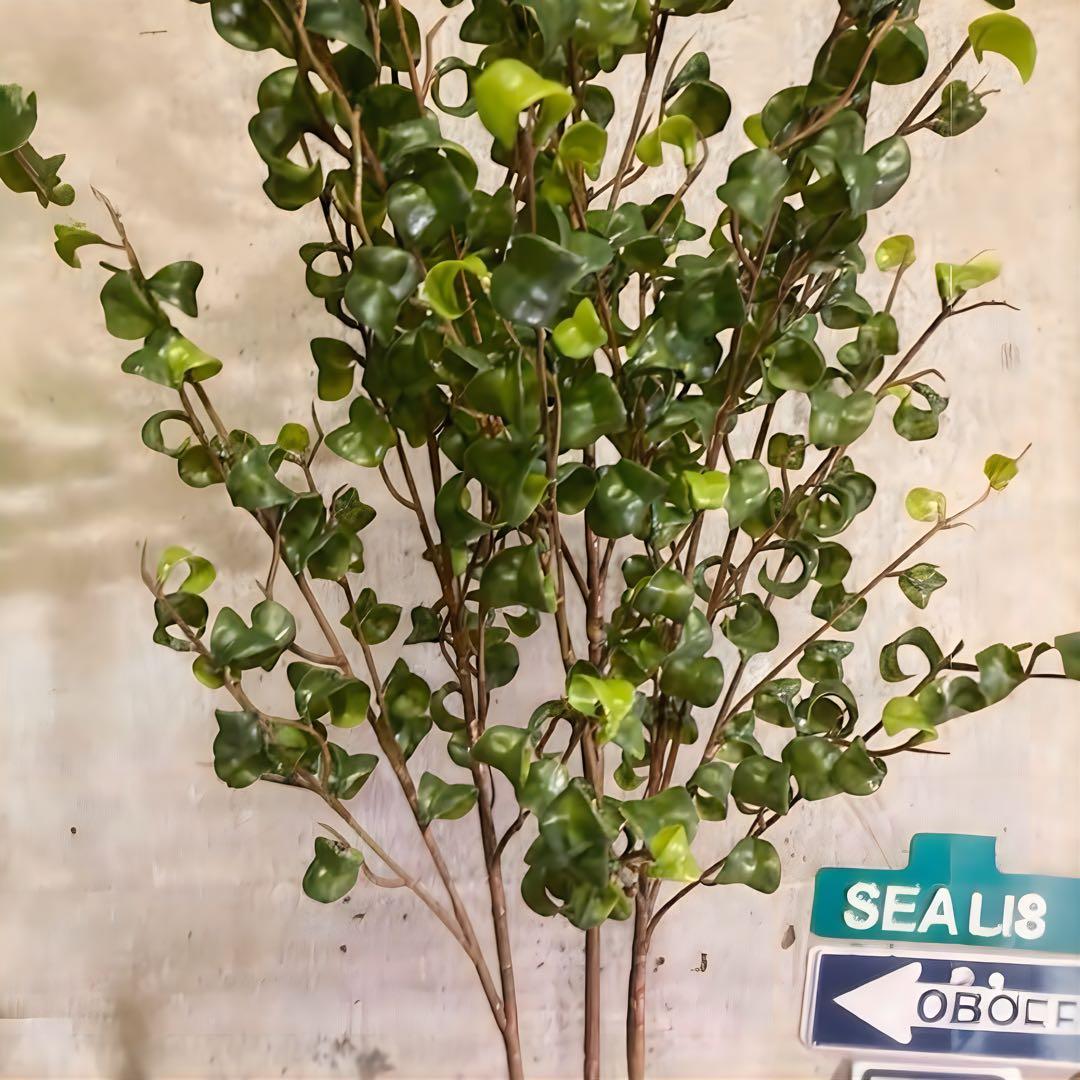 光触媒　人工観葉植物　ウォールグリーン　フェイクグリーン　ベンジャミンバロックa