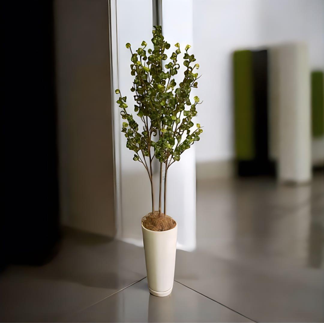 光触媒　人工観葉植物　ウォールグリーン　フェイクグリーン　ベンジャミンバロックa