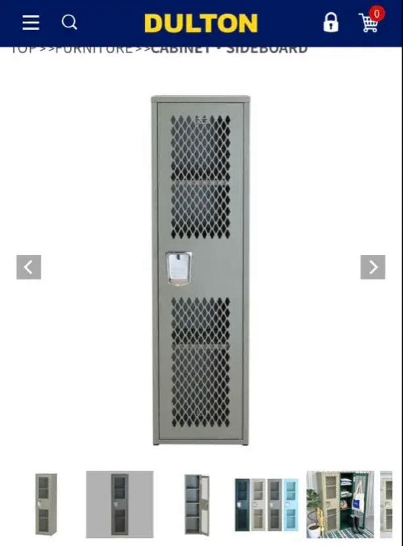 超美品　DULTON / STEEL MESH LOCKER MOSS GRAY