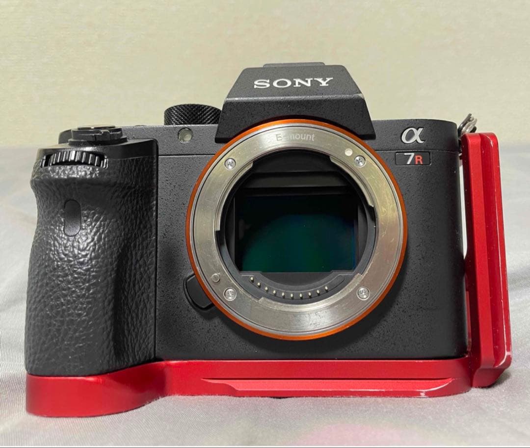 ぱ*ん様 α7RⅡ sigma50mm F 1.4