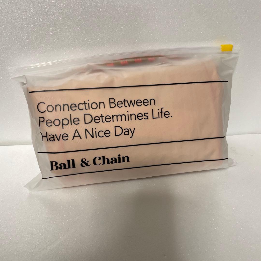 ボールアンドチェーン Ball & Chainポケットモンスターモデル3☆L