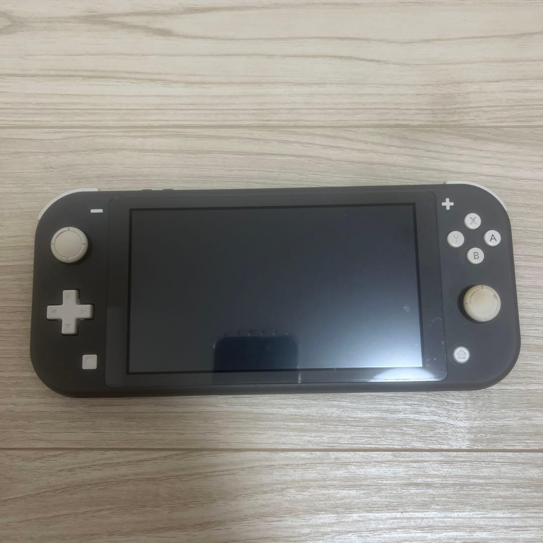 おいおいページNintendo Switch Lite グレー 本体